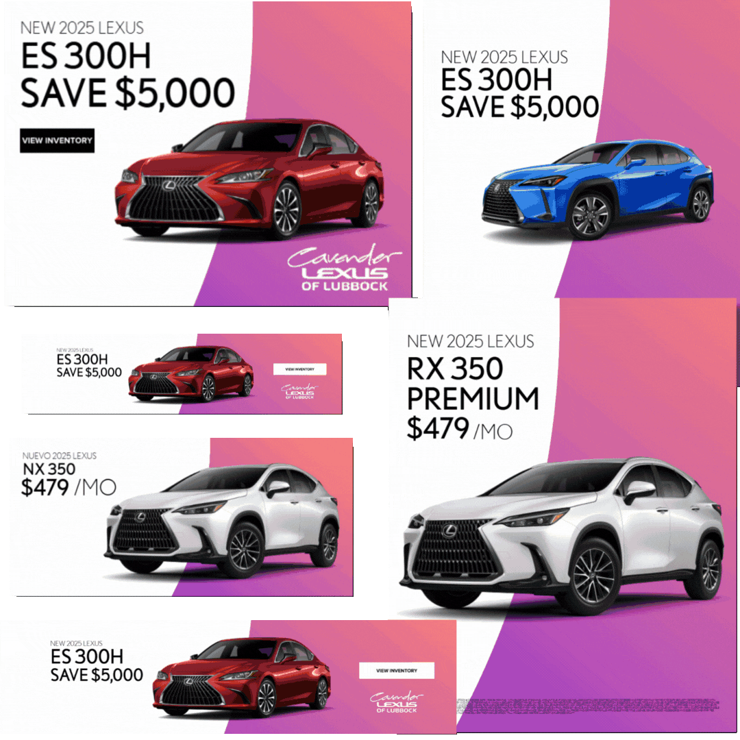 Dealer User Examples (2)